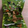Pop up book Image 4