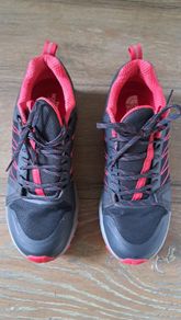 Tracking shoes