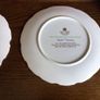 Vintage Royal Albert Bone China Country Walk Collection Picture decorative Display Plates X3 Image 4
