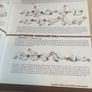 Drill to Win: 12 Months to Better Brazillian Jiu-Jitsu Image 5