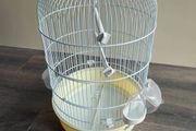 Small parrot cage