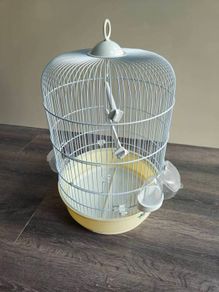 Small parrot cage