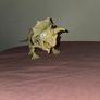 Zuru Smashers Epic Dino Egg Collectibles Series 3 Skeleton Triceratops Figure Image 6