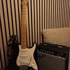 Fender Stratocaster 2009 MIM Bundle