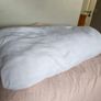 Duvet Image 4
