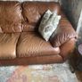 leather sofa Image 2