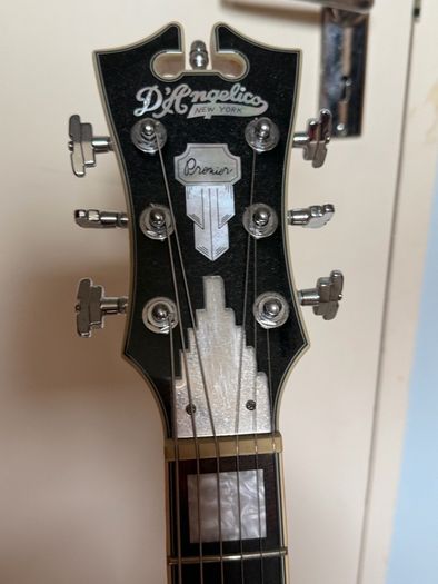D'Angelico Brighton Premier