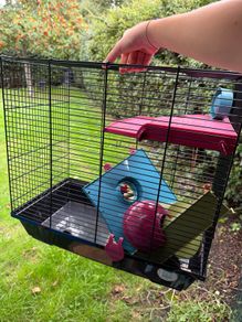 hamster/ rodent cage