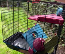 hamster/ rodent cage
