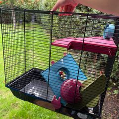 hamster/ rodent cage