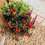 Marble chips, grave stones, chips, pebbles, pearl Image 4