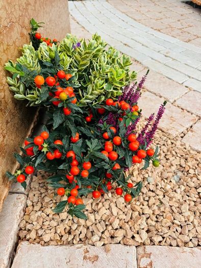 Marble chips, grave stones, chips, pebbles, pearl