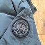canada goose Image 4