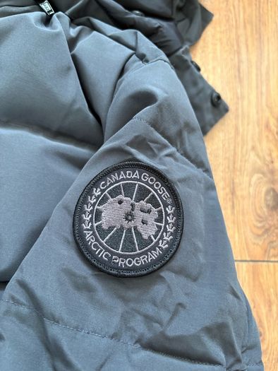canada goose