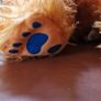 bear in the big blue house Image 4