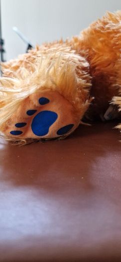 bear in the big blue house