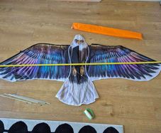 Kite