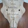 Deer antlers Image 5