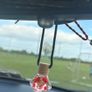 Car air fresheners Image 4