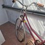 Ladies bicycle Image 6