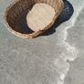 Dog basket Image 4