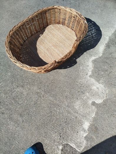 Dog basket