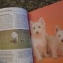 Paperback book,West highland Terriers, Image 2