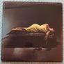 Bryan Ferry - The Bride Stripped Bare - Vinyl Image 2
