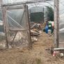 galvanised poly tunnel Image 2