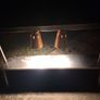 Heated carvery/food warming  unit Image 2