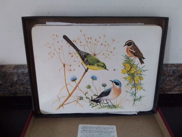 Set of Place Mats with Bird Display