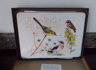 Set of Place Mats with Bird Display