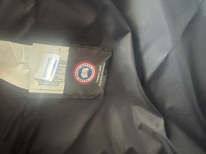 canada goose