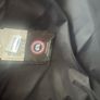 canada goose Image 5
