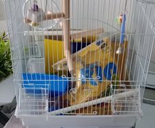 Bird cage with all accessories