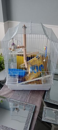Bird cage with all accessories