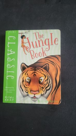 pair of childrens story books