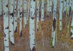 Original Paintings by local artist, for sale in Kilkenny