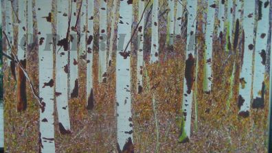 Original Paintings by local artist, for sale in Kilkenny