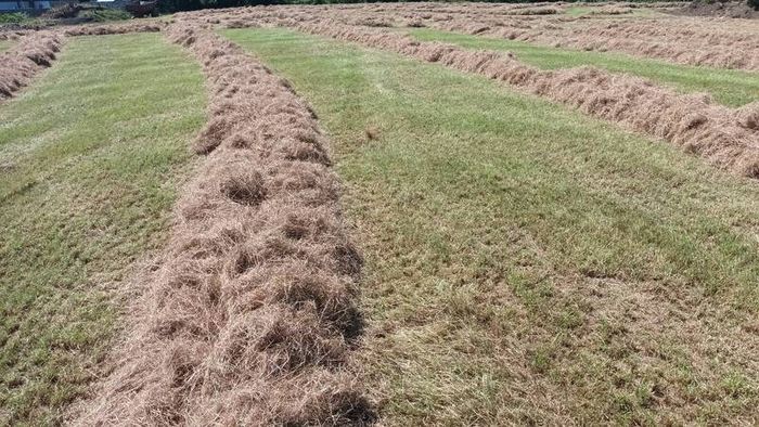 Round Hay Bales