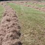 Round Hay Bales Image 5