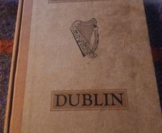 Irish interest