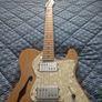 Fender Classic Series '71 Telecaster Thinline (2009 MIM) + Hard Case Image 2