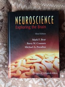 Neuroscience