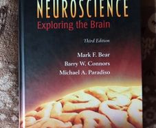Neuroscience