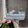 Bird Cage Image 5