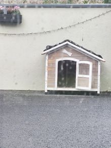 large dog kennel