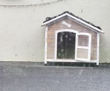 large dog kennel