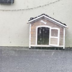 large dog kennel