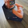 Brand New CAT HOTTIE microwaveable Image 4